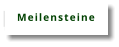 Meilensteine